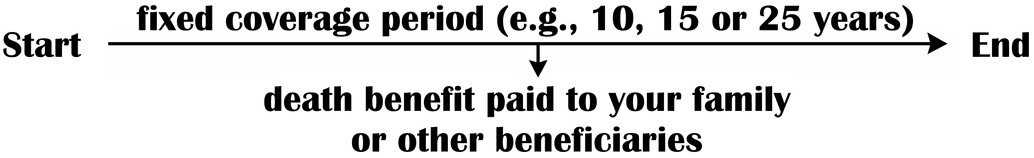 What Is Term Life Insurance?