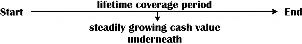 What Is Whole Life Insurance?