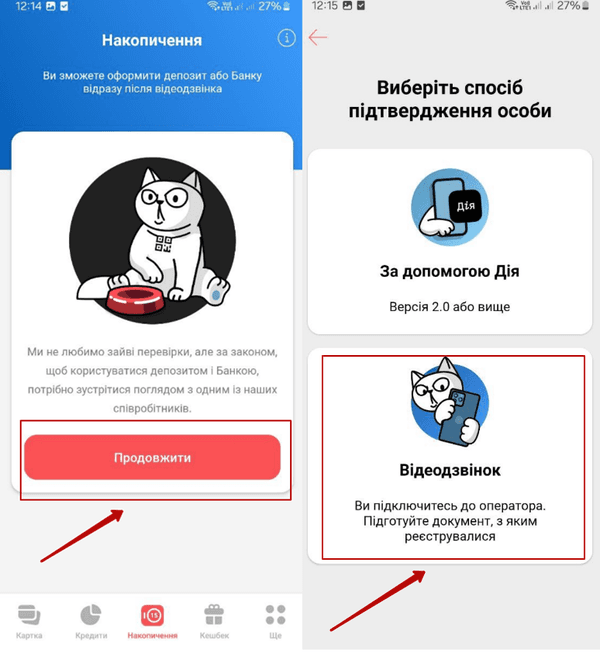 Натиснути кнопку «Продовжити»та вибрати пункт «Відеодзвінок»